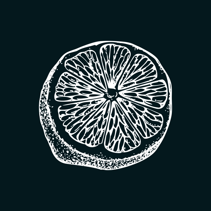 Vintage lime sketch on chalkboard. Citrus fruit slice hand-drawn vector illustration. Exotic plant drawing in engraved style. Botanical design element. NOT AI-generated
